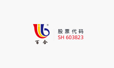 AG geme集团股份有限公司 关于对外投资暨内蒙古源晟制钠科技有限公司项目的进展公告