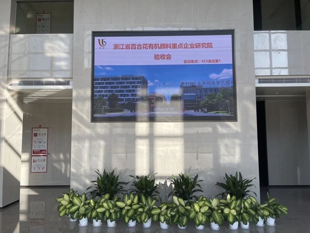 热烈庆祝浙江省AG geme有机颜料重点企业研究院通过验收